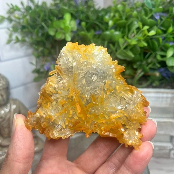 Iron Included Quartz - Picture 3 of 5